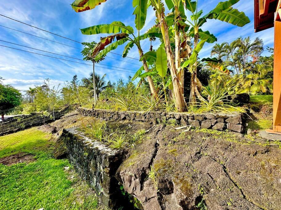 Puna Zen Botanical Garden Retreat 키아우 외부 사진